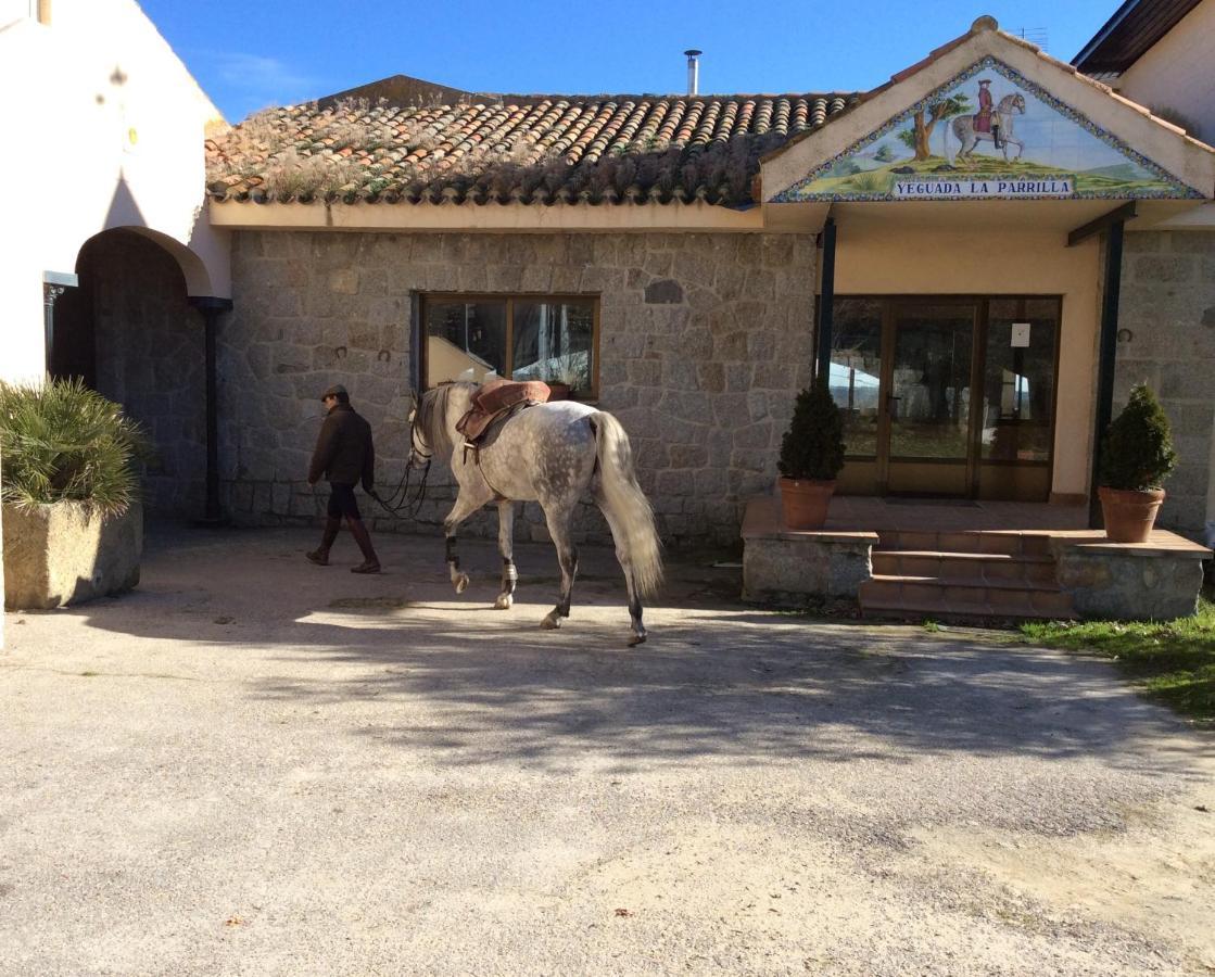 B&B Yeguada La Parrilla 埃斯科里亚尔 外观 照片